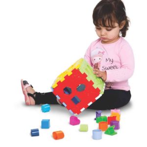 Brinquedo Educativo Cubo Didático com Blocos Merco Toys